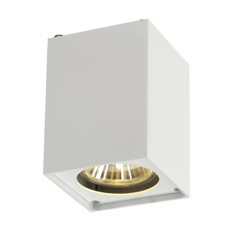 SLV ALTRA DICE CL-1 151511/4, 1002216 ceiling lamp