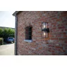 LUTEC FLAIR Outdoor wall lamp