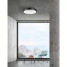 LUCES TOLU LE41497 LED ceiling white, black, gray