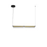 LUCES ROCA LE44230 LED hanging lamp 20W black and gold metal/glass