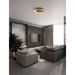 LUCES CAPINOTA LE44799/80/1/2/3/4 LED ceiling lamp 40/60cm 3 colors