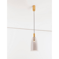 LUCES IQUITOS LE44847 LED hanging lamp 3000K 7W gold/gray IP20