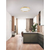 LUCES TOCACHE LE44873/4/5 LED 2700-3000K ceiling light