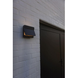 LUTEC ALETA SOLAR LED outdoor wall lamp with PIR sensor P54