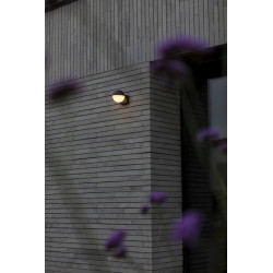 LUTEC LOOMA outdoor wall lamp LED 7,8W 3000K moveable head