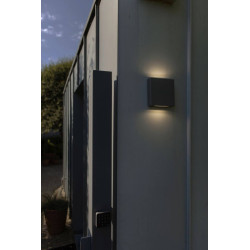 LUTEC PILI outdoor wall lamp LED 4000K up/down dark grey