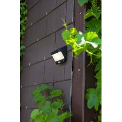 LUTEC TRY wall lamp with solar panel and motion sensor