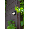 LUTEC TRY wall lamp with solar panel and motion sensor