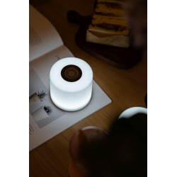 LUTEC NOMA 1 white portable lamp 2700K-6500K RGB