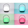 LUTEC CARDI portable lamp 2700K-6500K RGB